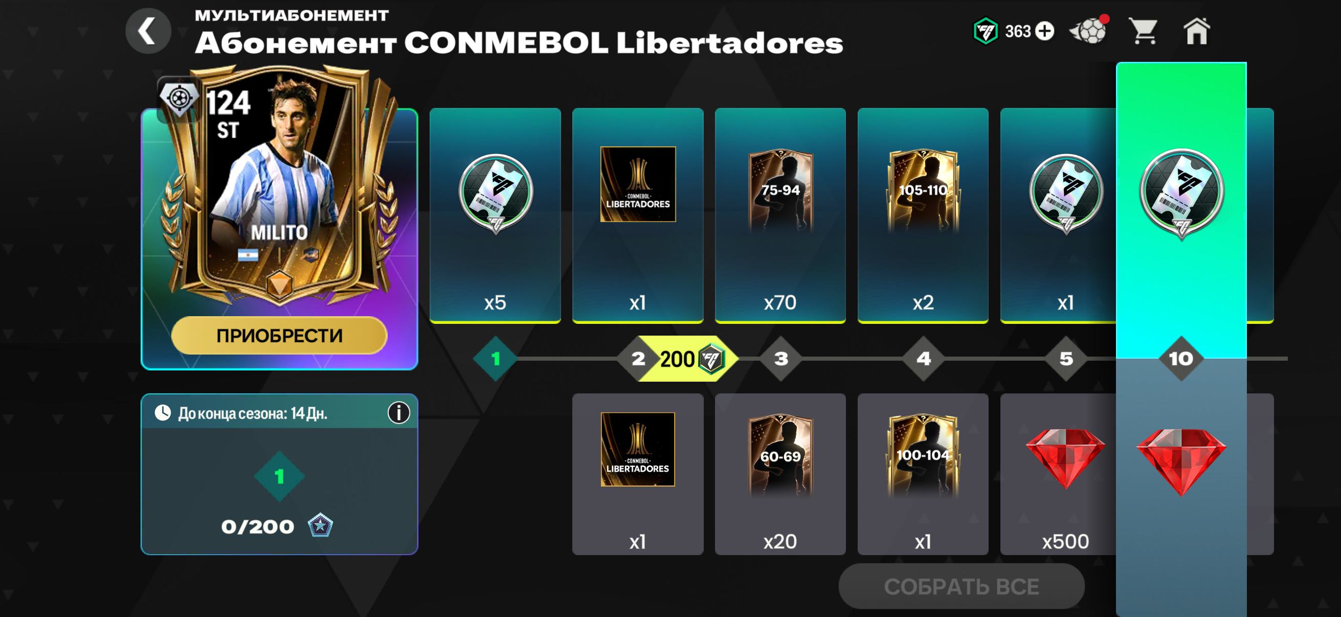 🟫Абонемент LIBERTADORES